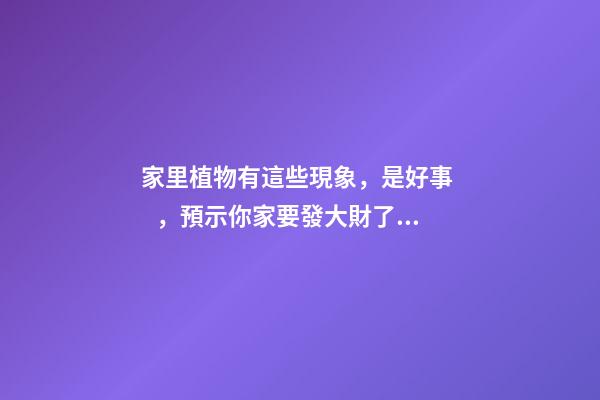 家里植物有這些現象，是好事，預示你家要發大財了！